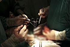 hayvandan organ nakli-269.jpg